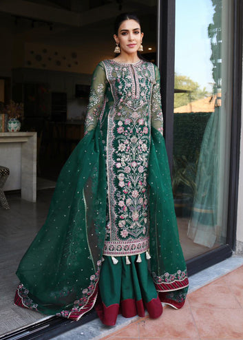 Aymen Hikmat - Naghma